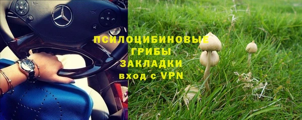 Альфа ПВП Нягань