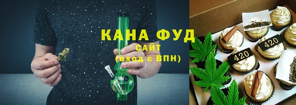 индика Бугульма