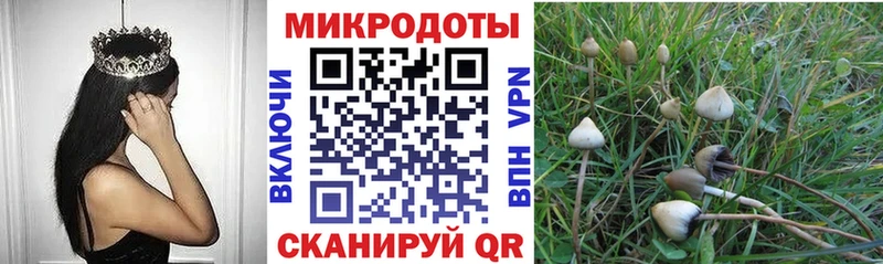продажа наркотиков  Ревда  blacksprut вход  Псилоцибиновые грибы Psilocybe 
